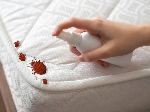 Reliable Washington, NJ Pest Control Solutions